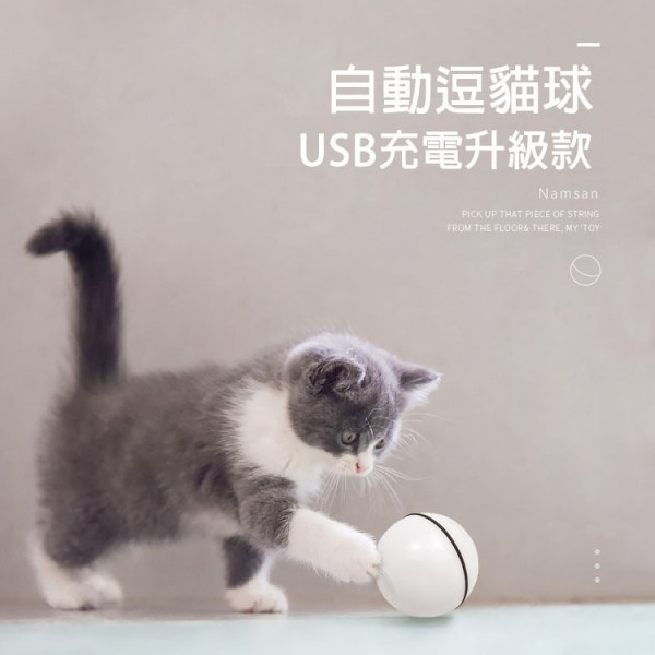 自動逗貓球 - 自動智能球 - 小貓玩具 - 自嗨可充電 - 網紅狗狗貓咪用品 | 圖片 1