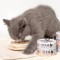 【汪喵星球】幼母貓98%營養無膠主食罐 | 80g | 圖片 4