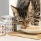 【汪喵星球】幼母貓98%營養無膠主食罐 | 80g | 圖片 5