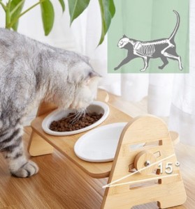 寵物貓碗陶瓷 | 雙碗斜口保護頸椎 可調節竹木架