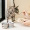 【汪喵星球】幼母貓98%營養無膠主食罐 | 80g | 圖片 7