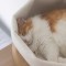 inFluffy - 寵物牛皮柔軟貓窩 (內含軟墊) | 圖片 5