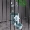 掛式自動飲水器500ml | 喝水器 | 飲水機 | 懸掛水壺餵水 | 掛籠 | 狗狗貓咪寵物用品 | 圖片 2
