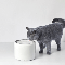 Petkit - Eversweet 3 - 不鏽鋼智能寵物飲水機 第三代 | 圖片 3