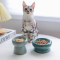 可愛花瓣陶瓷貓貓碗 | 圖片 3