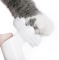 Pidan - 寵物潔足泡沫 |  寵物免洗泡沫狗狗貓咪足部清潔護理 | 圖片 3