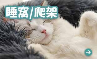 貓床 價錢最Chill的貓用品速遞Pet網店 2MonsterZ
