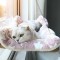 【超人氣】貓吊床 - 吸盤式掛床貓窩 - 承重35kg | 圖片 2